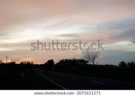 Silhouette of nature, as the sun sets