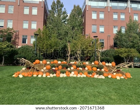 A view of fall yard Halloween decoration with building in the background