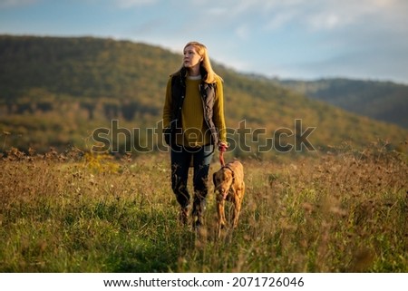 Mature woman walking her beautiful hungarian vizsla. Dog walking background. Woman and hunting dog enjoying nature walk on a sunny autumn evening. Royalty-Free Stock Photo #2071726046
