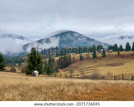 Foggy November day in the Transylvania mountain range, Romania.