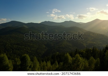 Aerial view of beautiful mountain landscape with forest on sunny day. Drone photography