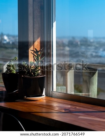 Plants on a wooden table seen through a glass pane on a sunny day