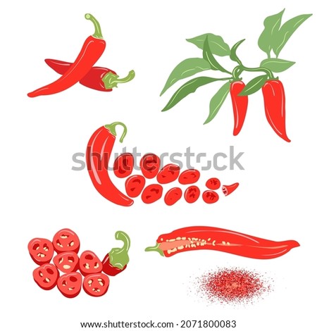 Chili pepper vector set. Pepper on a branch, a pod in a section, ground paprika, slices of chopped red pepper. Color illustration on a white background. Royalty-Free Stock Photo #2071800083