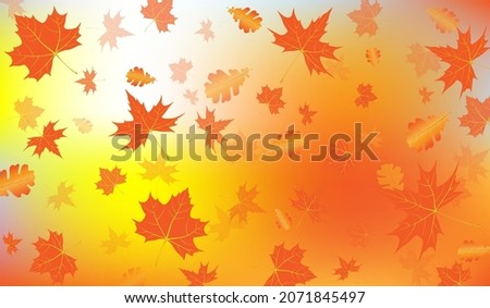 Vector illustration. Autumn leaves  texture. concept of fall season. autumn background. orange maple leaves in sunshine