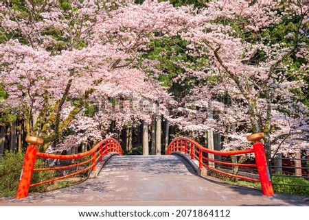 Kamijo, Shizuoka, Japan rural scene with cherry blossoms and a traditional bridge. Royalty-Free Stock Photo #2071864112