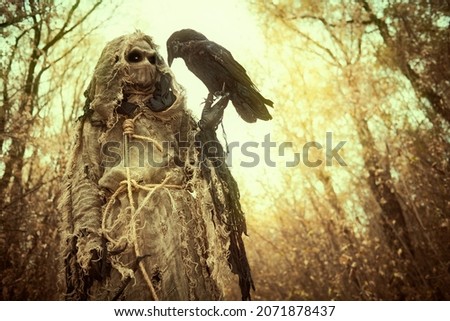 A terrible forest sorcerer with a canvas bag on his head and in a sackcloth robe stands in a dense forest with a black raven on his hand. Scarecrow. Halloween Tales. Horror, thriller. Royalty-Free Stock Photo #2071878437