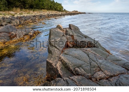 A picture of a rock against the blue water. Picture from Skalderviken, southern Sweden
