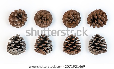Set of beautiful pinecone flower shap in christmas winter. Pine cones pattern isolated on white background. Open fir cone for Xmas decoration. Royalty-Free Stock Photo #2071921469