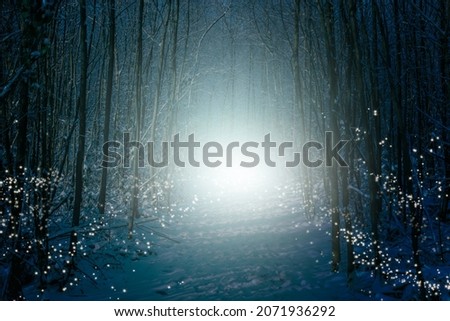 Enchanted winter forest with snow, shimmering star lights and mysterious fog.