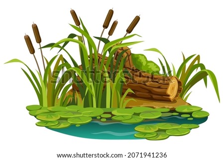 Moss on the stump in marsh. Cartoon log in swamp jungle. Broken tree oak, cattails, salvinia, water lily. Isolated vector element on white background. Royalty-Free Stock Photo #2071941236