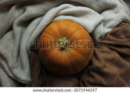 Orange pumpkin in a sweater. Top view
