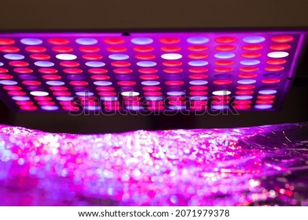 Macro of a purple and magenta led light dial for greenhouse plant growth. Graphic pattern full of colors