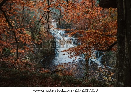 autumn scotland nature outdoor orange colours 