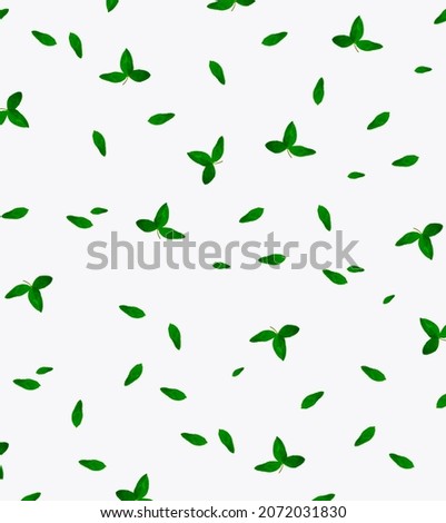Lucky Irish Four Leaf Clover for St. Patricks Day Isolated on White Background. foliage shamrock