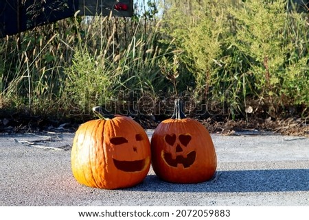 Two pumpkins in love, awesome photo shoot.