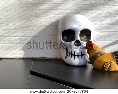Small black and white skull with a smaller colorful rooster sitting together on a black table