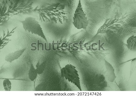 Natural Abstract green Forest Background with Spray Painted Plant Leaves. Camouflage texture for Hunters and Fishermen