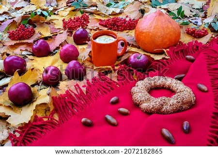 Autumn day. Picnic in the garden. Red plaid, apple harvest, pumpkin, acorns, semite, the mug of lemon tea, rowan berries Royalty-Free Stock Photo #2072182865