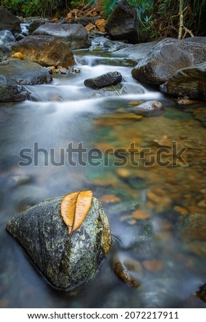 slow shutter speed of soft water and rocks river in jungle 