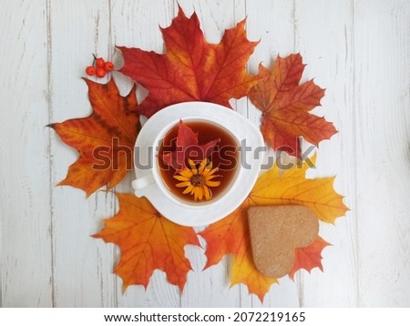 Cup of tea with a cookie in shape of heart surrounded by colorful maple leaves. Autumn background. Good morning concept.