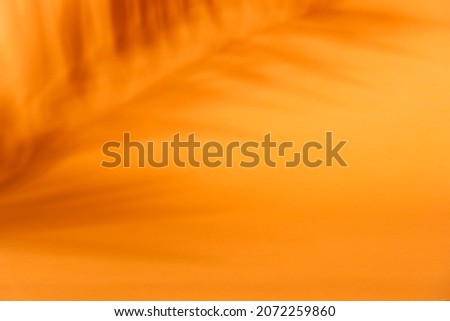 Tropical palm leaf shadow on orange background. Tropic plant overlay on thanksgiving and halloween design. Product display. Natural silhouette on wall. Flat lay.