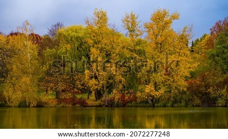 Multicolored autumn trees at lake, water mirror, dark blue sky