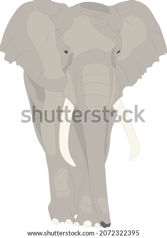 Safari animal clipart. 
Vector isolated elephant.
Hand drawn wildlife cutout.