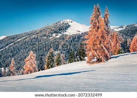 First snow in November. Bright morning view of Alpe di Siusi village. Red larch trees in Dolomite Alps. Stunning scene of ski resort, Ityaly, Europe. Untouched winter landscape.