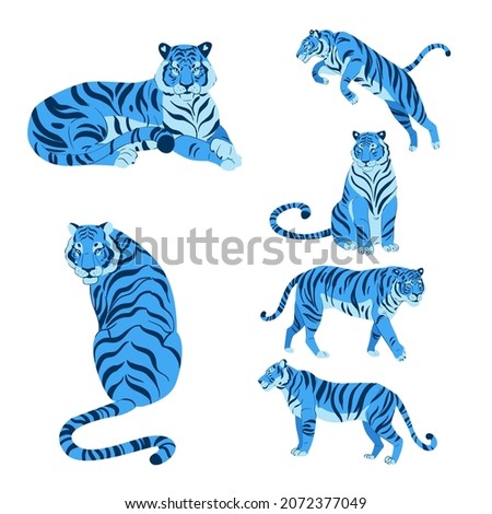 Flat set of cute blue tigers in various poses isolated on white vector illustration Royalty-Free Stock Photo #2072377049