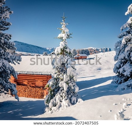 Untouched winter landscape. Frosty morning view of Alpe di Siusi village. Calm winter scene of Dolomite Alps, Ityaly, Europe. Beauty of nature concept background.