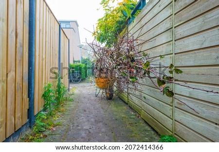 Renovation of a garden in a residential area in autumn, Almere, Flevoland, The Netherlands, November, 2021