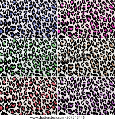 All colors leopard pattern collage. Eight spotted fur animal print as background.