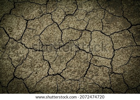 Horror cinematic background. dark and scary picture, Halloween background, mysterious cracked surface photo. Dry ground