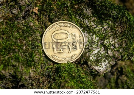 Old coins in the forest on green moss