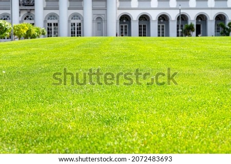 Lush lawn in the park in front of a beautiful historic palace, selective focus.

