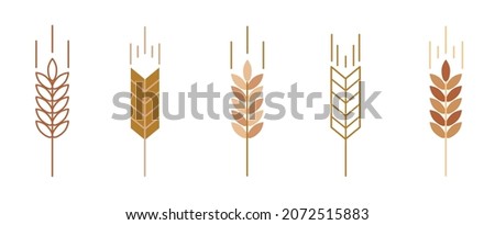 Ears of cereal crops. Spikelet icons. Royalty-Free Stock Photo #2072515883