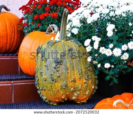 Photo of halloween decorated front door with various size and shape pumpkins and beautiful red and white flowers.
