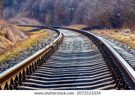 Railway track in the forest among the trees in spring