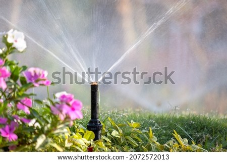 Plastic sprinkler irrigating flower bed on grass lawn with water in summer garden. Watering green vegetation duging dry season for maintaining it fresh. Royalty-Free Stock Photo #2072572013