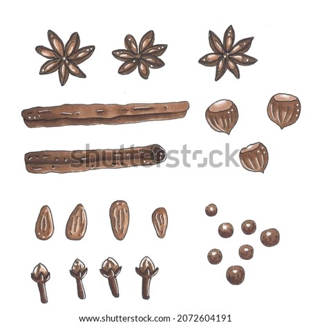 A set of bright marker hand drawn spices: star anise, cinnamon, hazelnuts, almonds, allspice, cloves. Illustrations for the design of sites, posts, publications, paper, social networks, prints