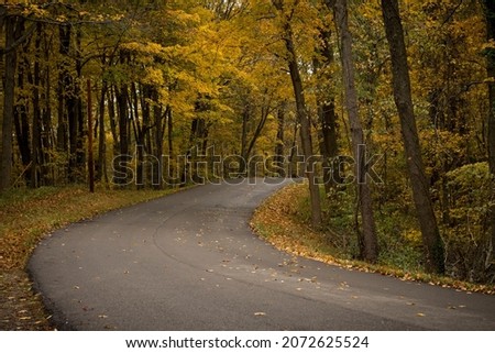 Open road winds through autumn trees in a forest. Original public domain image from Wikimedia Commons