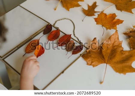 The boy makes a composition with leaves in a glass frame while sitting at home in the kitchen. Happy childhood concept. Kids play.