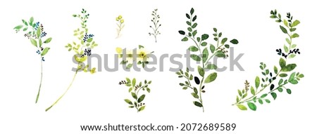 Watercolor elements green leaves branches set. Botanic composition watercolor hand-painted isolated on white background, Suitable for natural botanical decoration design, background, wedding, cards.
