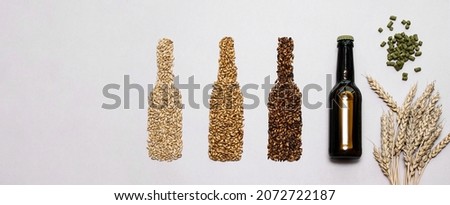 Beer bottles made from various malted grain, flat lay. Craft beer brewing from grain barley malt. Ingredients for brewers.  Royalty-Free Stock Photo #2072722187