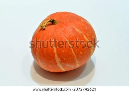 The picture shows a ripe orange pumpkin on a white table.