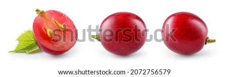 Grape. Three pink grapes isolated on white. Fresh violet grape collection macro. With clipping path. Full depth of field. Perfect not AI grape, true photo.