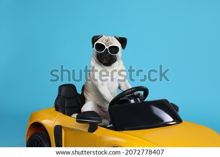 Funny pug dog with sunglasses in toy car on light blue background Royalty-Free Stock Photo #2072778407
