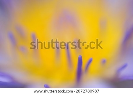 flower background that grows with the perfect blend of colors becomes an artistic background