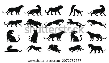 Tiger line icon set, black panther vector line logo illustration design Royalty-Free Stock Photo #2072789777