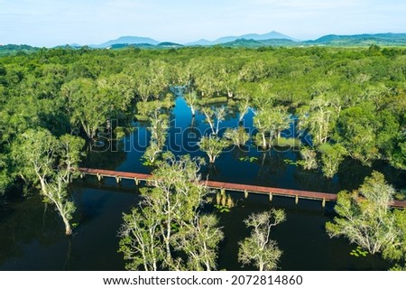 Aerial view of tourists, canoe or kayak in mangrove forests. Rayong Botanical Garden, tropical mangrove forest in a national park in Thailand. Holiday travel activities Royalty-Free Stock Photo #2072814860